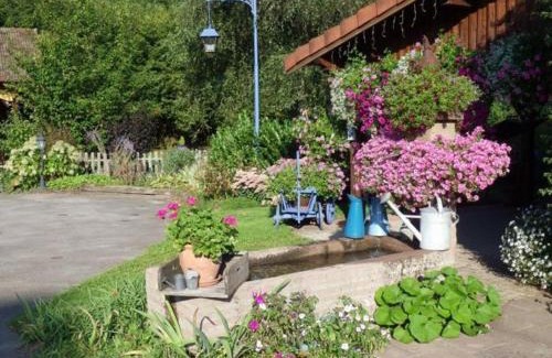 Provencheres-et-Colroy House | Gîte chaleureux avec cheminée, jardin, proche des randonnées Vosgiennes et attractions Alsaciennes - FR-1-589-224