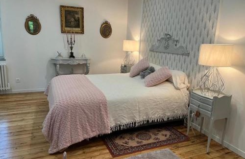 Souvigny House | Gîte de charme à Souvigny avec jardin et animaux acceptés - FR-1-489-583