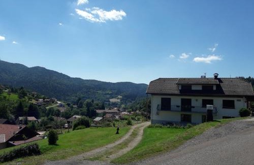 Saint-Maurice-sur-Moselle Apartment | Gîte de famille dans les Vosges