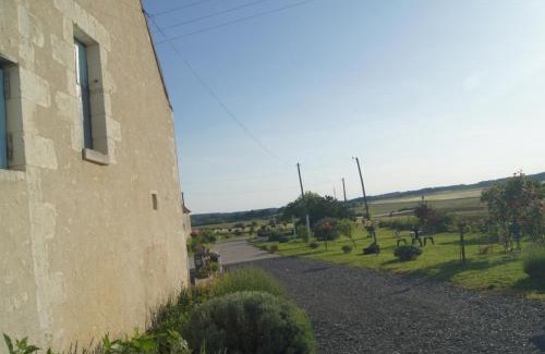 Chedigny House | Gîte familial en Touraine avec jardin, proche châteaux de Chenonceau et Amboise, vélos disponibles - FR-1-381-121
