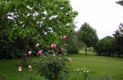 Argenton-sur-Creuse House | Gîte familial avec jardin, proche d'Argenton-sur-Creuse et sites historiques - FR-1-591-209