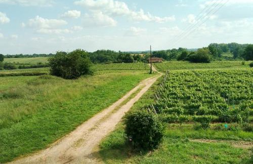 Castex-d'Armagnac House | Gîte ferme équestre avec piscine