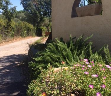 Castelnou Apartment | Gîte le châlet des milles et un chemins