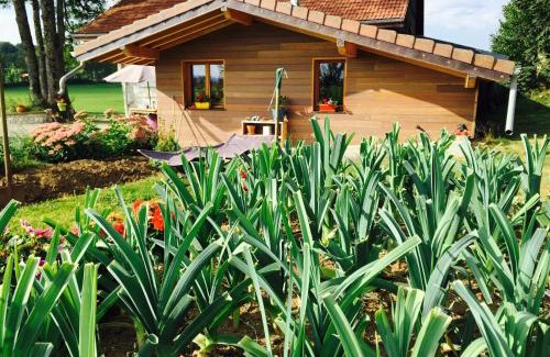 Orchamps-Vennes House | Gîte Les Cigognes