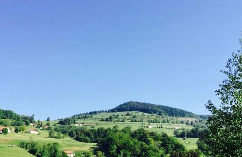 Fresse-sur-Moselle House | Gîte montagnard confortable avec terrasse et WIFI - FR-1-589-751