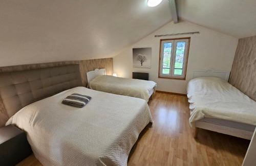 Xonrupt-Longemer House | Gîte Noa