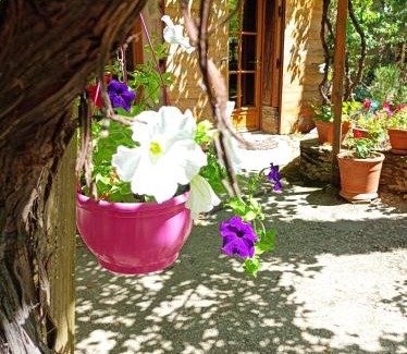 Sainte-Croix-en-Jarez Apartment | Gîte Sainte Croix en Jarez, Le Val des Equins