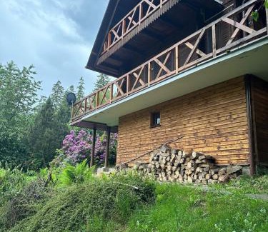 Szczyrk Ski Chalet | Górski domek w Szczyrku