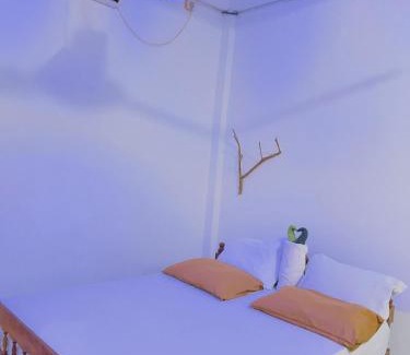 Sevanagala Bed & Breakfast | Gajaya Elephant Safari Homestay