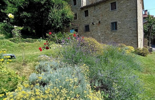 Firenzuola Apartment | Gamberullo: accommodation in old house of 700 in the valley of the river Santerno