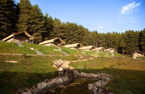 Phobjikha Valley Resort | Gangtey Tent Resort