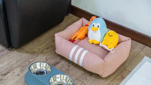 Seorak House | Gapyeong Areuno Pet Pension