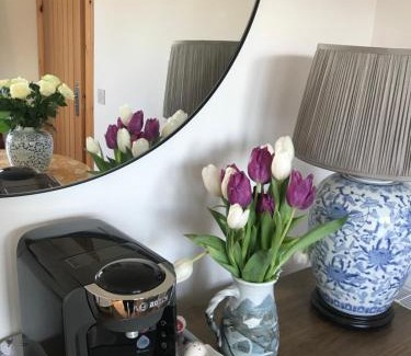 Inverness Apartment | Garden Retreat - City Central Quiet Garden Apartment with Free Parking