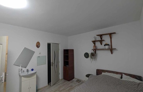 Tulcea House | Garsoniera in apartament liber