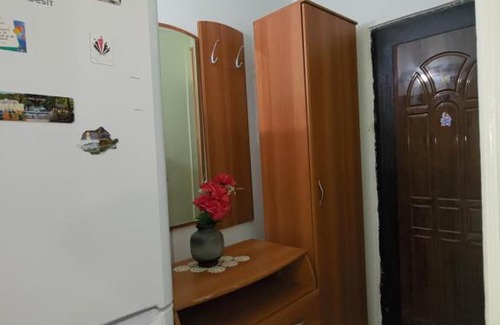Prajila Apartment | Garsoniera Irene