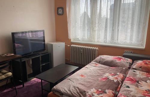 Horni Slavkov Apartment | Garsoniera U lesoparku