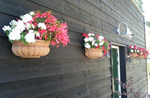 Den Hout House | Gastenverblijf Houtse Pad