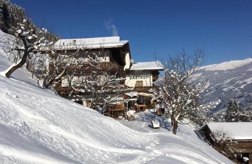 Hippach-Schwendberg House | Gasthof Pension Berghof
