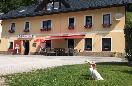 Hall bei Admont Hotel | Gasthof Wölger