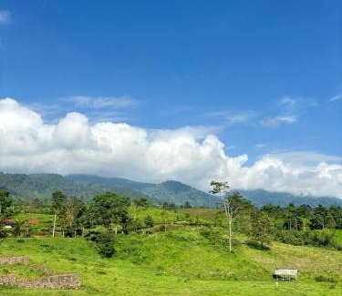 Ciater Other | Gayana Hills