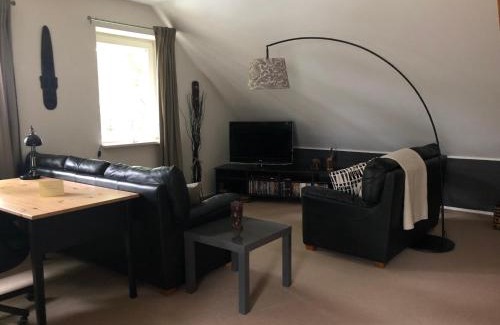 Hoisdorf Apartment | Gemütliche 1 12-Zimmer Wohnung