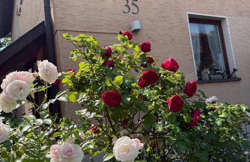 Staffelstein Apartment | Gemütliche Ferienwohnung (60qm) mit großem Balkon und kostenfreiem WLAN