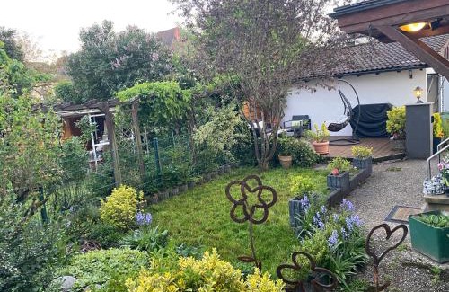 Eberbach Apartment | Gemütliches Apartment ebenerdig