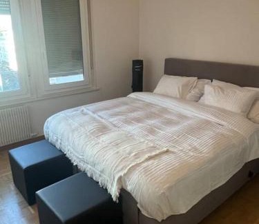 Jargonnant Apartment | Genève magnifique appartemens aux Eaux vives