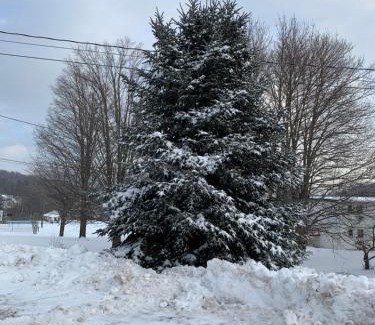 Windham House | Georgian Garden