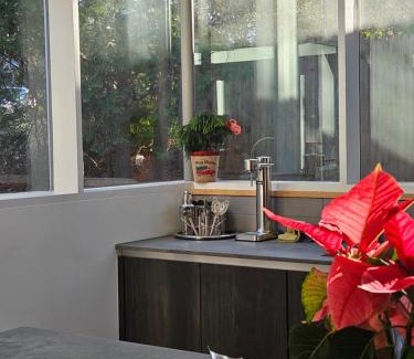 Wheaton-Glenmont House | Get Ready for Spring Mid-Century Modern Relaxing, Retreat