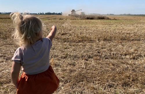 Emmeloord Other | Gewoon Ann-ders