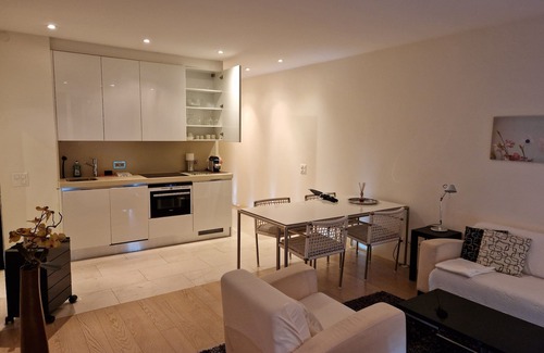 Castagnola Apartment | Giardino Violetta - great view, private palm garden