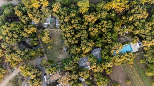Talala Resort | Gir County Resort