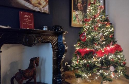 Feronstree et Hors-Chateau Apartment | GITADIN - Deluxe Suite Rousseau - Historical center