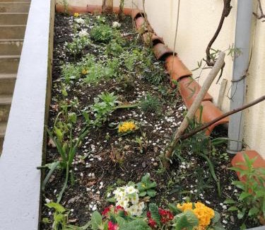Valence-sur-Baise Apartment | Gite chez Pierrette