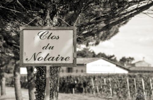 Bourg-sur-Gironde House | Gite des vendangeurs 4 étoiles - 10 personnes