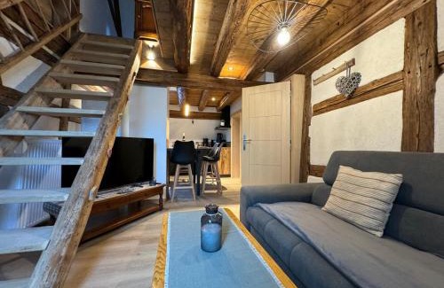 Dambach-la-Ville Apartment | Gite premium, au Cœur de l'Ours
