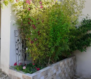 Volvent Apartment | Gite Tropical