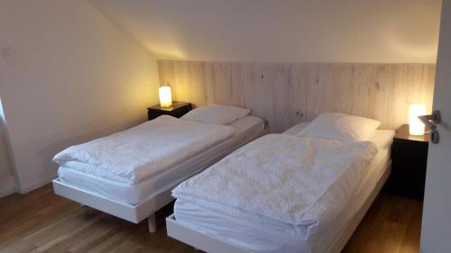 Thannenkirch House | Gites Chez Schangala