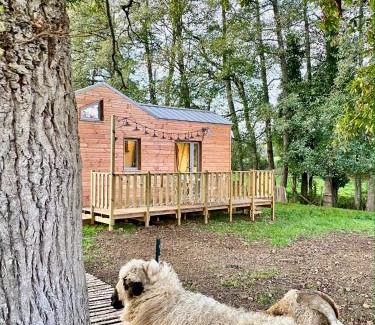 Cholet House | Gites De L'Etang Des Noues