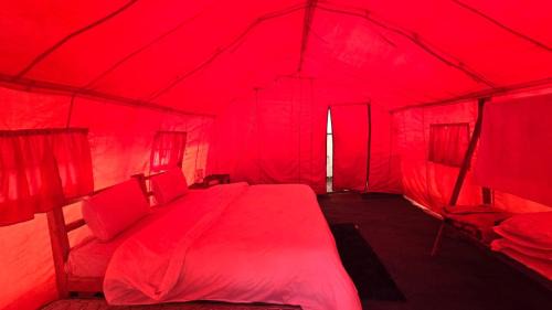 Sonamarg Other | Glacier Camping Resort