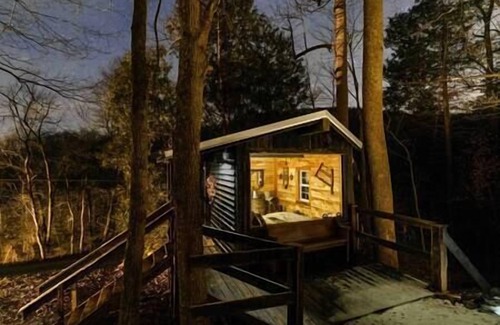 Lynx Cabin | Glamping Cabin | Huge Window | Nature Lovers Dream