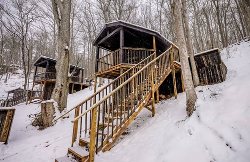 Lynx Cabin | Glamping Cabin | Huge Window | Cliff and Animal Views