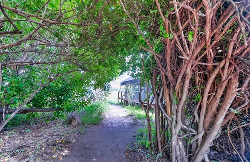 Maun House | Glamping in comfort between Maun and Moremi