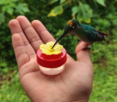 Mindo Other | Glamping para experiencias únicas en pareja