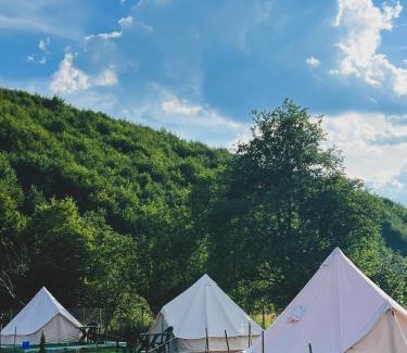 Tarlungeni Other | Glamping Spiritul Pădurii