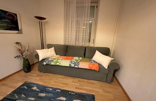 Dornach Apartment | Goetheanum Casa