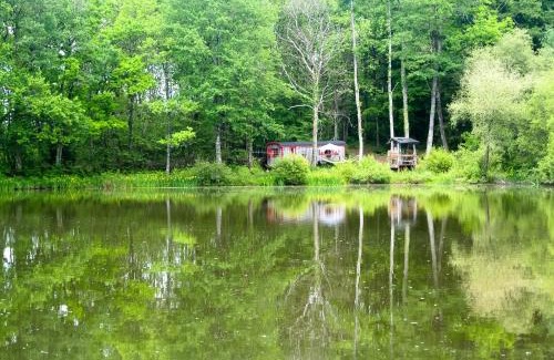 Saint-Priest-les-Fougeres Other | GoGreen Roulotte