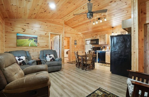 Logan Cabin | Golden Pine, 2 bed/2 bath, hot tub, Wifi, pond,