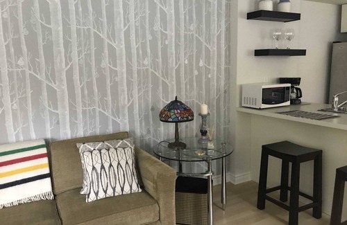 Cabbagetown House | Gorgeous Downtown Property, Private Yard